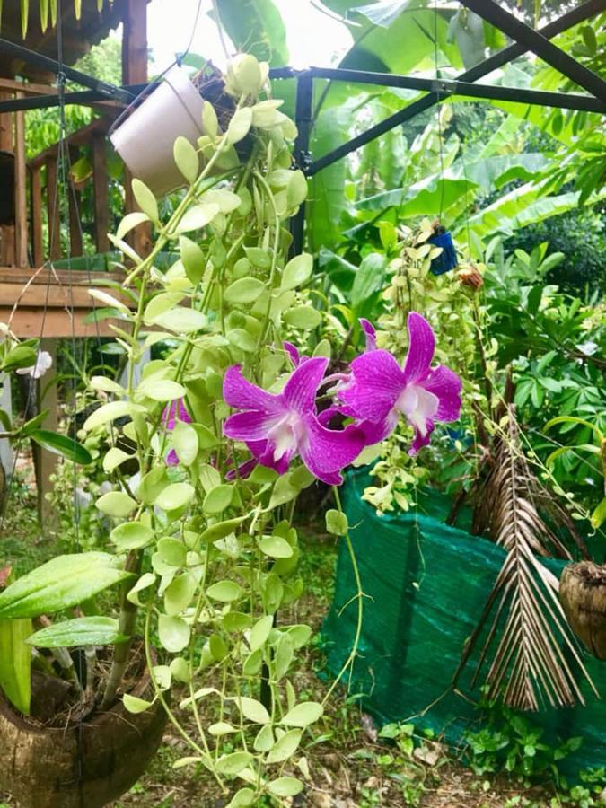 Lanta A Toi House Hotell Ko Lanta Eksteriør bilde